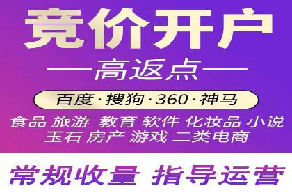百度推广案例：精准广告投放策略解析